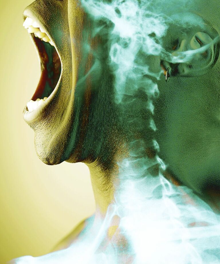 Like a Snake Shedding Its Skin