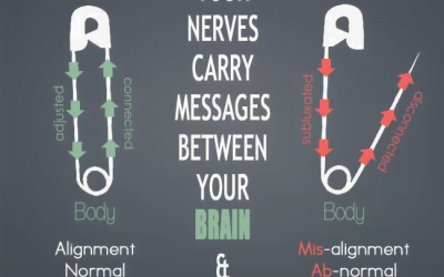 Safety Pins and the Brain