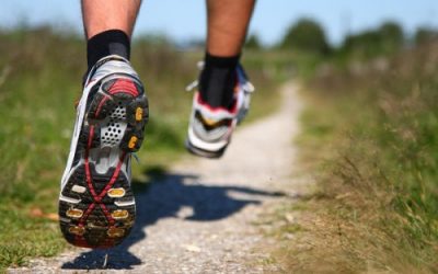 Being Fit Does Not Mean Being Healthy