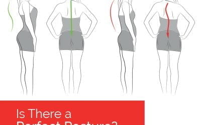 What is MY Perfect Posture?