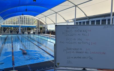 Arthritis and Degeneration in 2 Weeks!