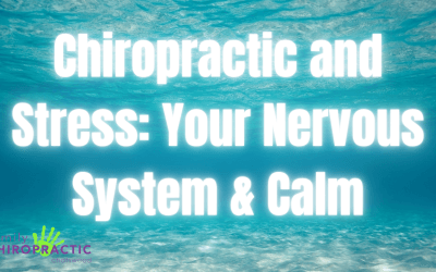 Chiropractic and Stress: Your Nervous System & calm | Chatswood Guide