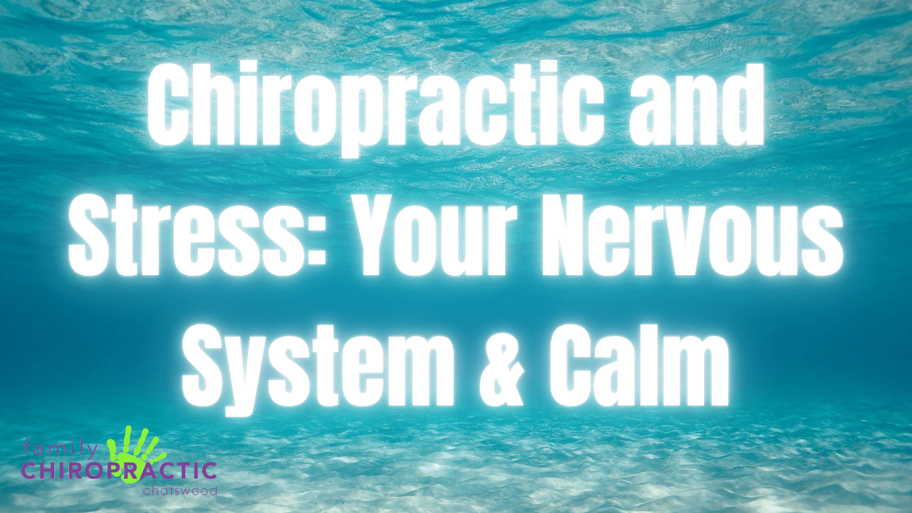 Chiropractic and Stress, Your Nervous System & calm Chiropractic and Stress, Your Nervous System & calm